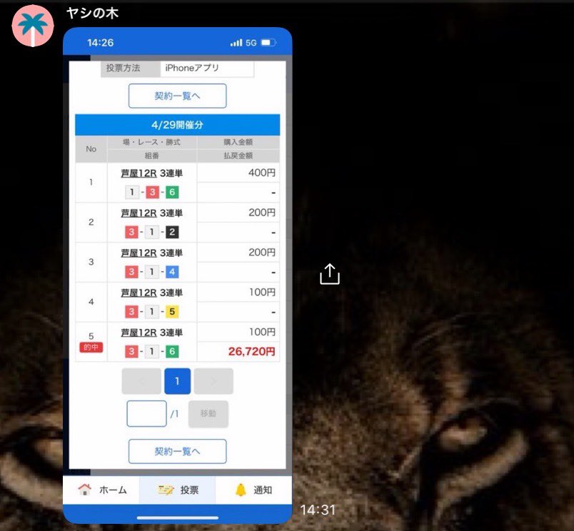 KING👑プロ競艇予想※無料予想はオプチャから tweet media