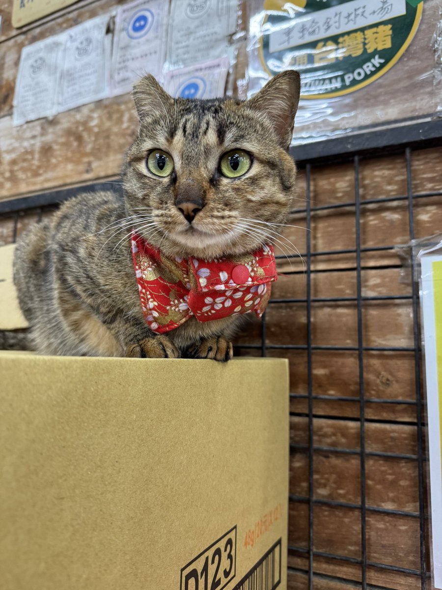 辦公室抱抱 tweet media