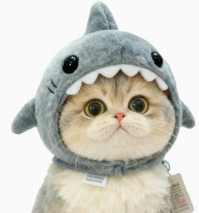 yumee1113's tweet photo. これかわいい😳
https://t.co/VpYRG3aydr https://t.co/EENWTW24FI