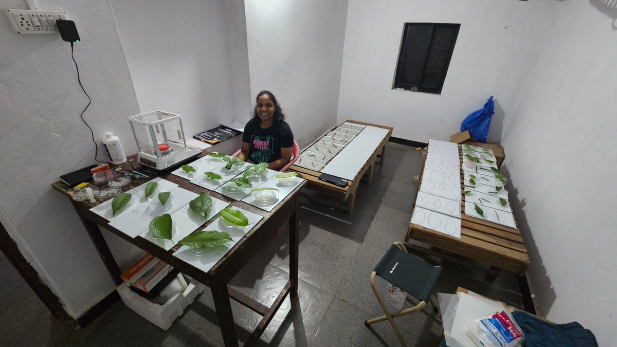 Centre for Climate Studies, IIT Bombay tweet media