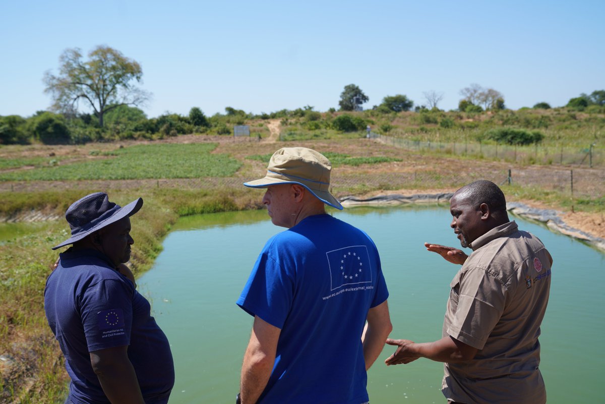 FAOZimbabwe's tweet photo. Monitoring progress, strengthening resilience!

This week, Zimbabwe Resilience Building Fund #ZRBFII supported @euinzim  &amp; @IrlEmbPretoria embarked on a  field monitoring mission in Mid-Zambezi emphasizing EU's commitment to supporting long-term resilience sustainability https://t.co/i44sAeArMF