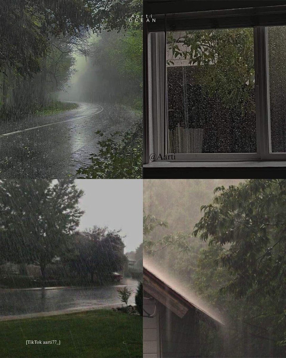 ⛆ 🌧️ ⛆ tweet media