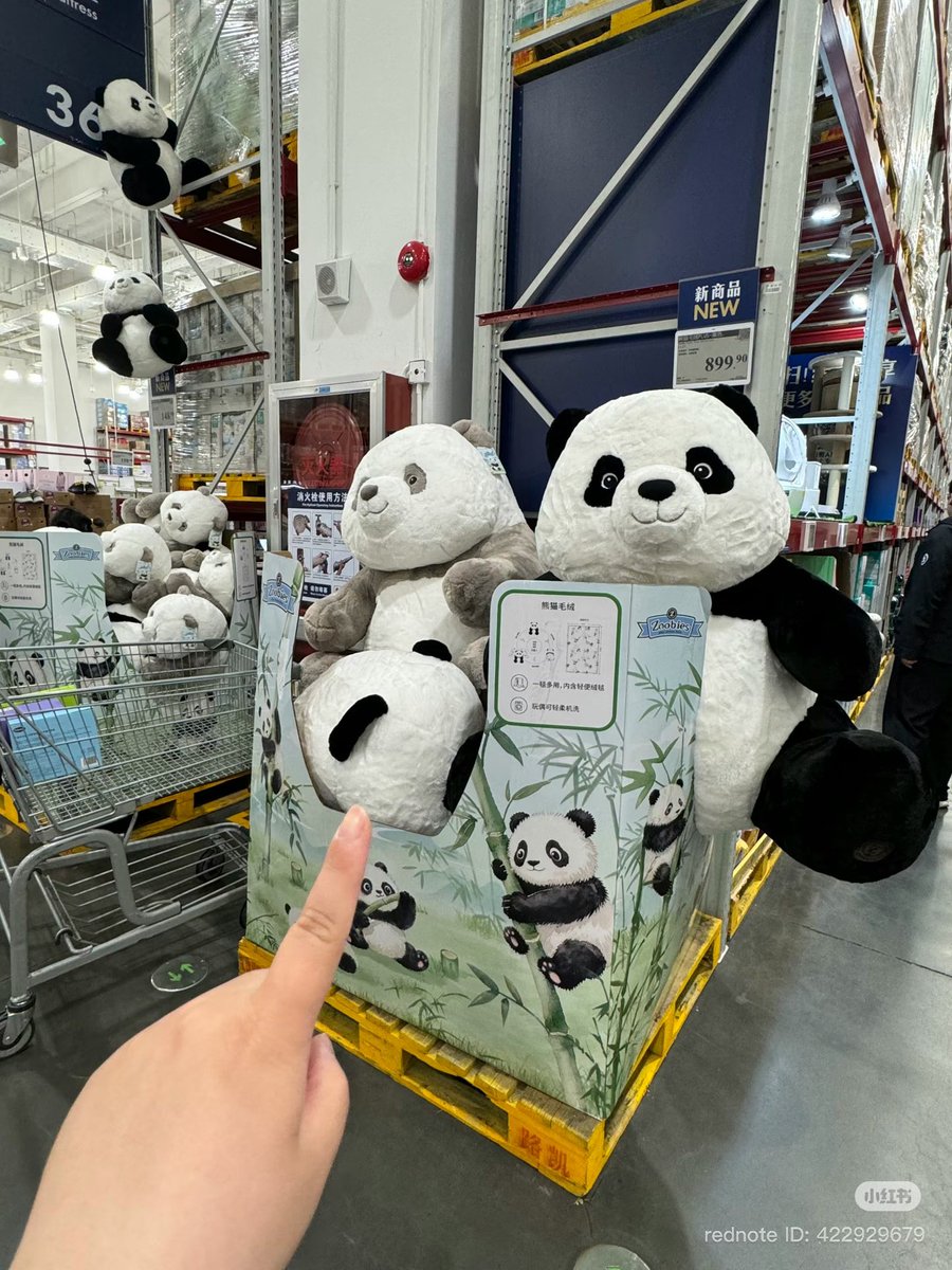 มันมีห้างนึงที่จีนออกตุ๊กตาแพนด้ามา (ตัวละ 4พันกว่ามั้ง) แต่ดูขนาดตัว🌚 และคือคนไปซื้อกันเต็ม ชีไจ่ขายดีมาก🤏🏻