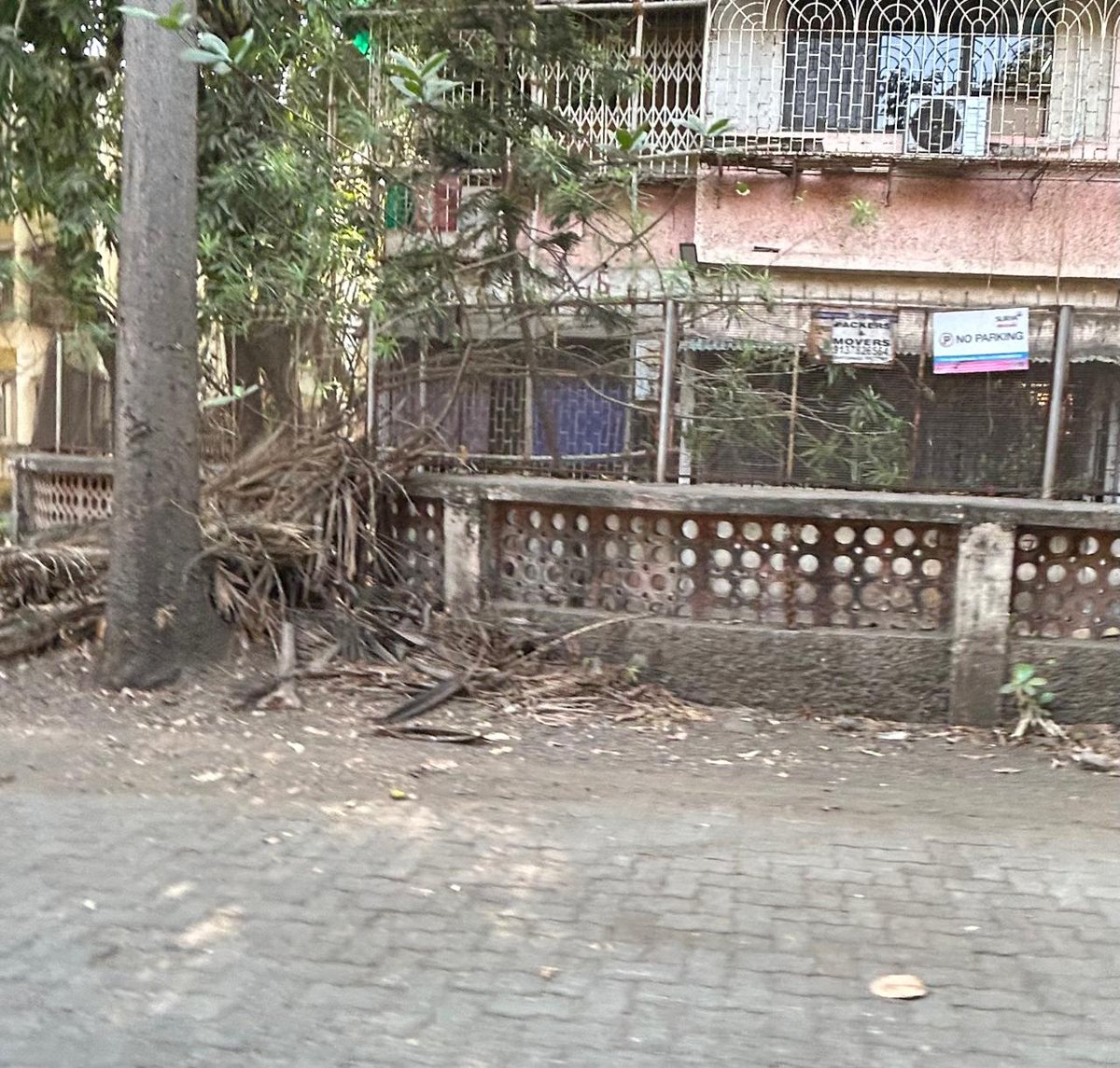 SentinelWachter's tweet image. @mybmchealth @mybmcWardMW @mybmcWardME @mybmc @mybmcHealthDept @mybmcInfra This morning again your #bmc sweeper has started piling the garden waste at the same spot. Please come and have a look for yourself, now it will start piling here yet again. Reprimand #diamond building