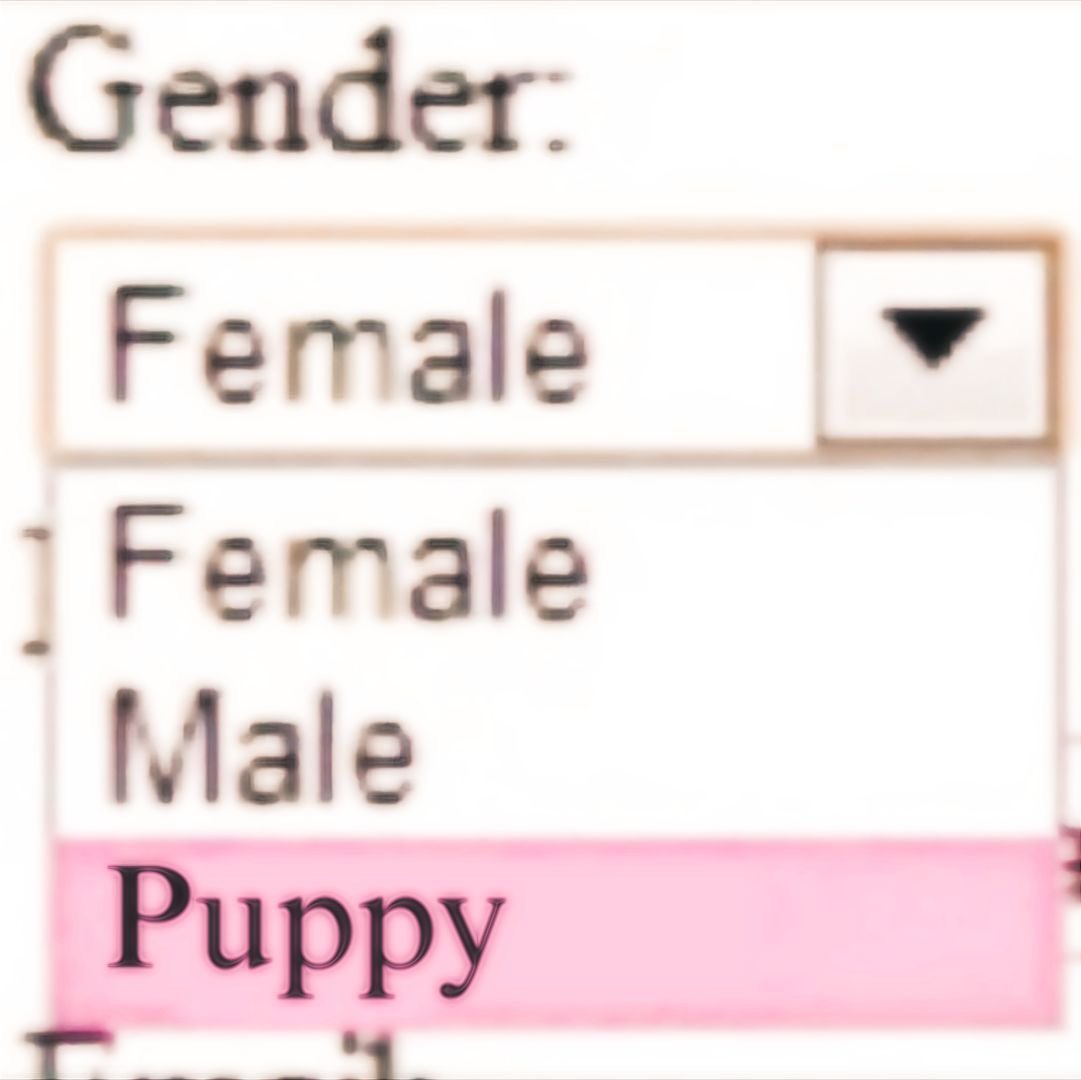 ★？♡ ✚！ tweet media