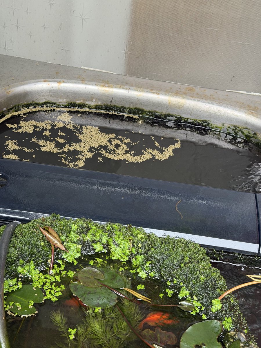 クロスワンFC3DHS本部＆写真現像＆システム開発＆信長デイトナ＆賃貸/民泊/不動産関連 tweet media