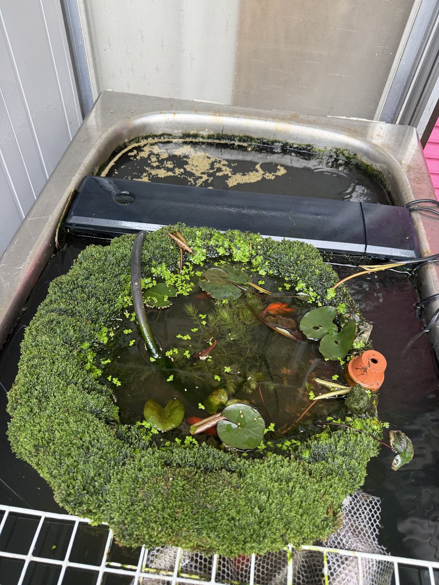 クロスワンFC3DHS本部＆写真現像＆システム開発＆信長デイトナ＆賃貸/民泊/不動産関連 tweet media