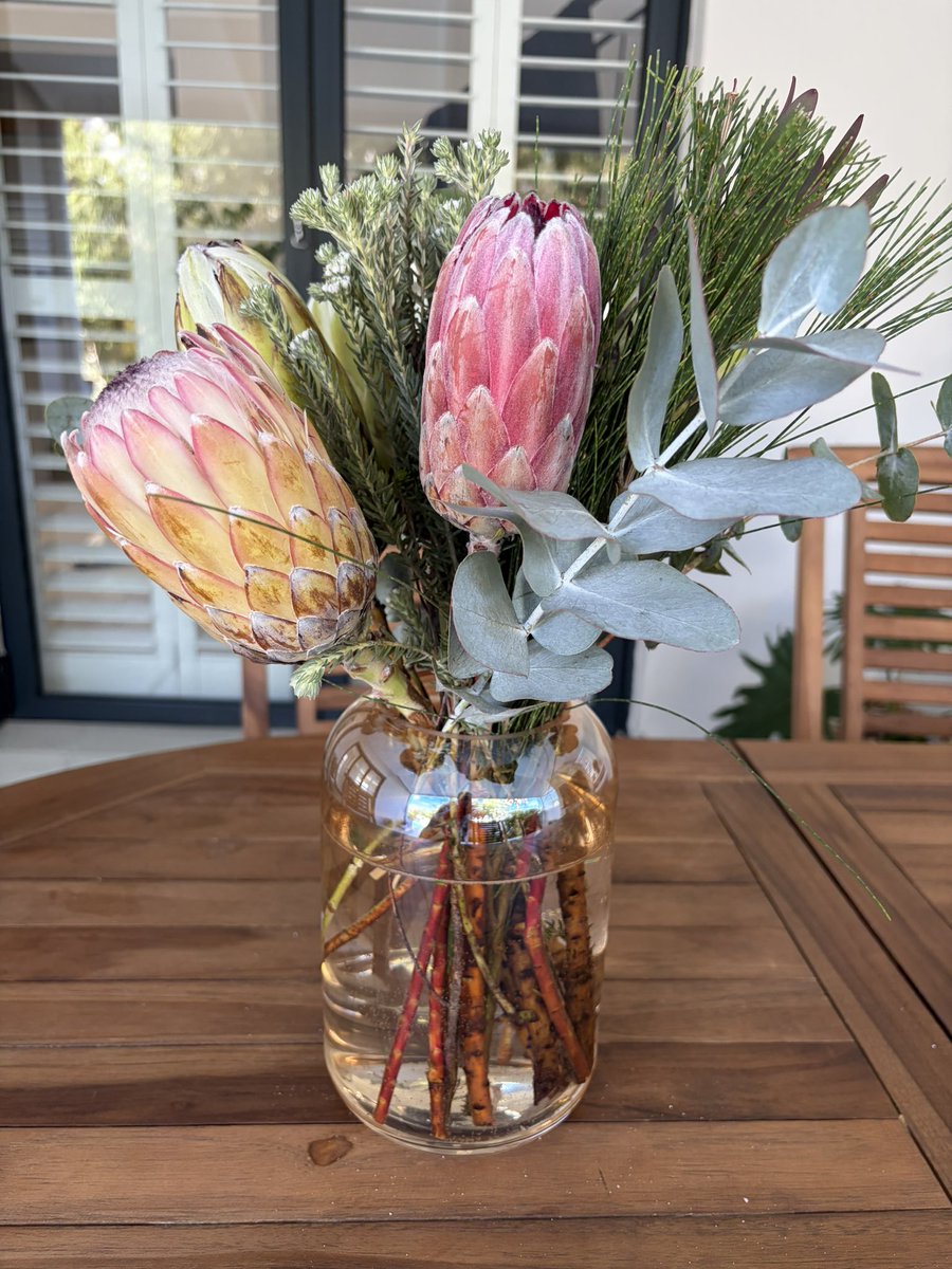 violafomina7's tweet image. Цветы Кейптауна 🍃🌺🍃#протея #protea #capetown #кейптаун