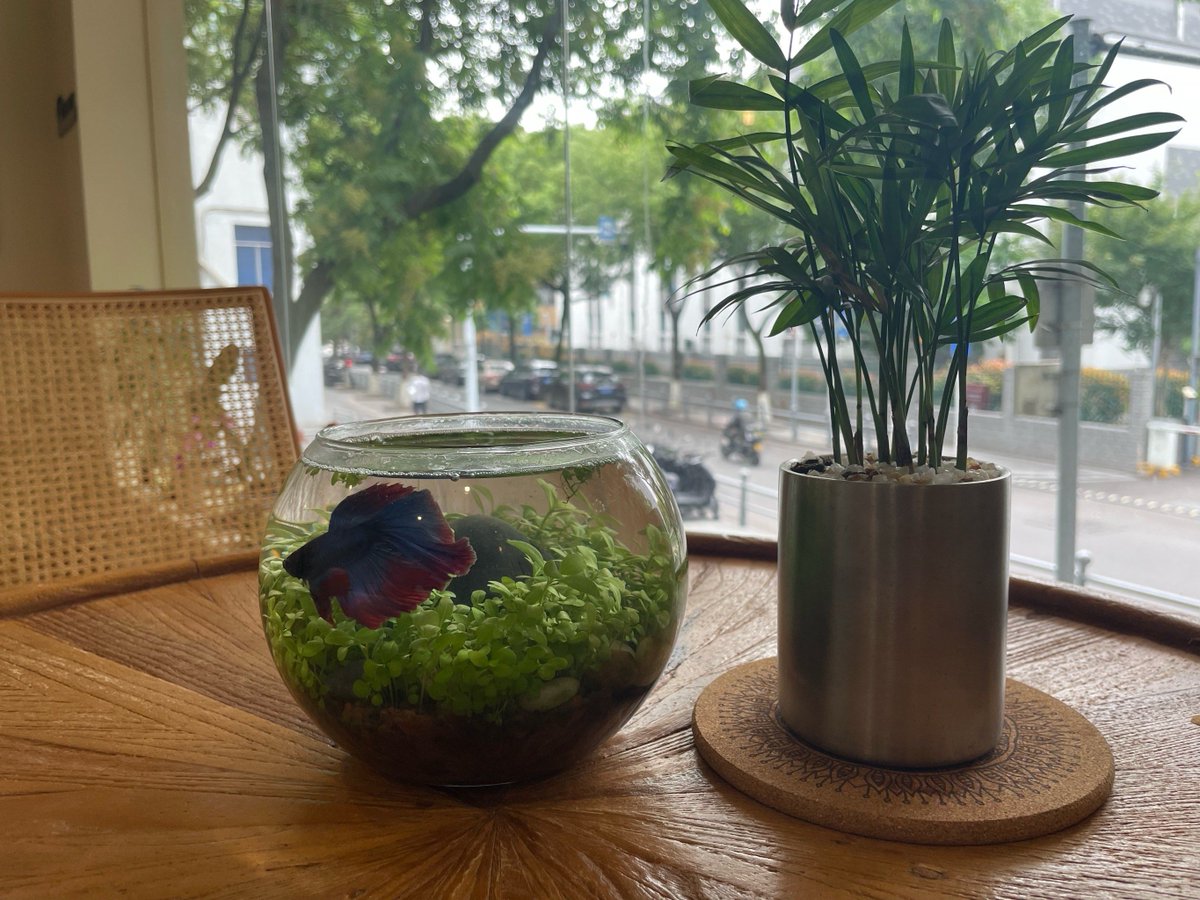 GLAMSo75's tweet image. "Decades later, same laugh, same vibe. Grateful for the ones who know your story better than Google.  #OldFriends #GoodVibesOnly"