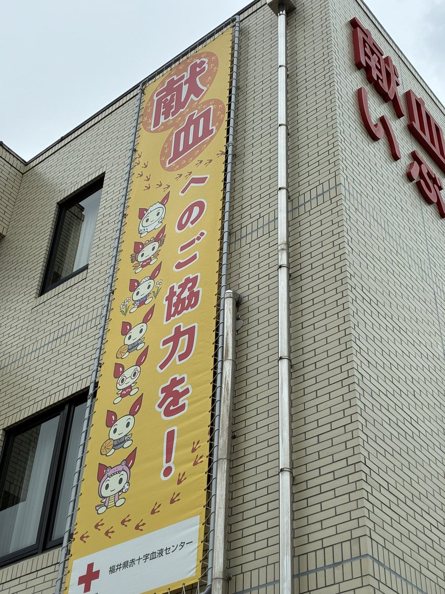 代田雅揮 (しろたまさき) tweet media