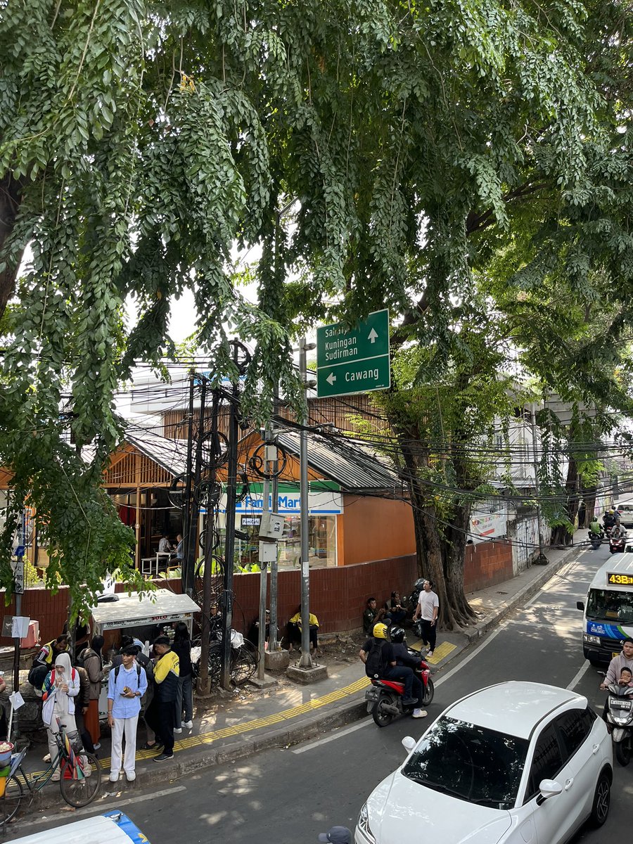 kayu jati tweet media