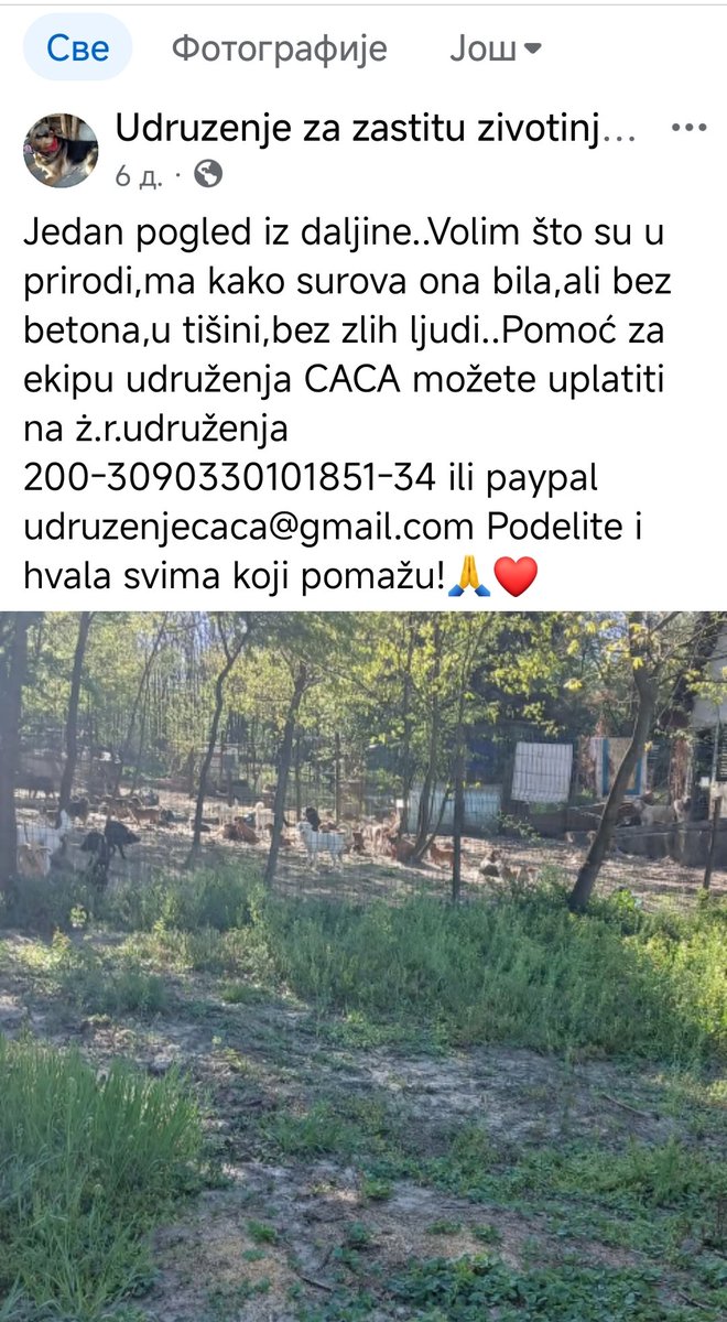 Pomoć za ekipu udruženja CACA možete uplatiti na ż.r.udruženja 200-3090330101851-34 ili paypal udruzenjecaca@gmail.com

 Podelite i hvala svima koji pomažu!🙏❤️