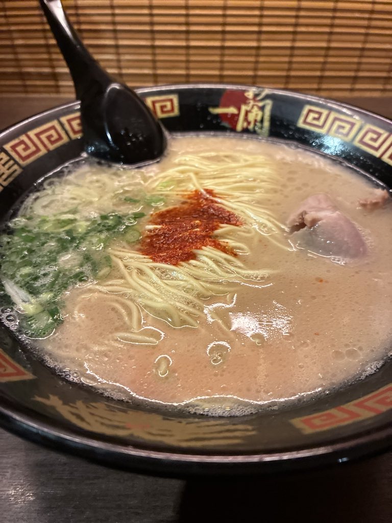 アメショー tweet media