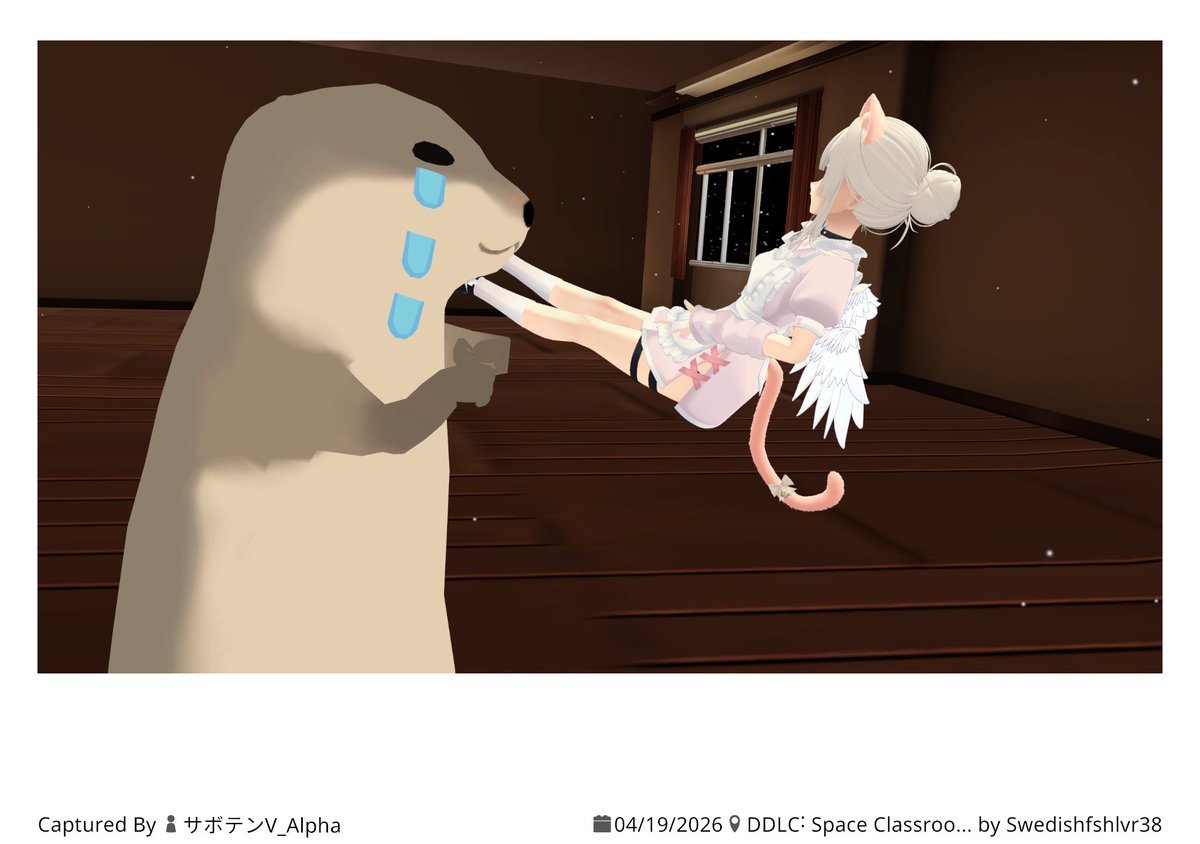 サボテン系Vtuber　Alpha　🌵α　オーストラリアンVtuber　休暇中 tweet media