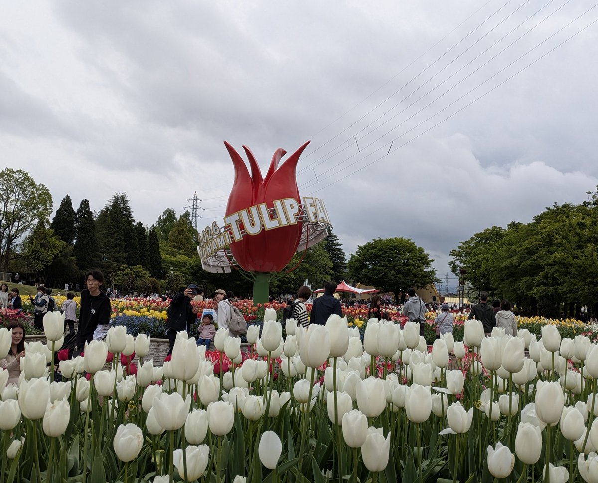 富山にこられま tweet media