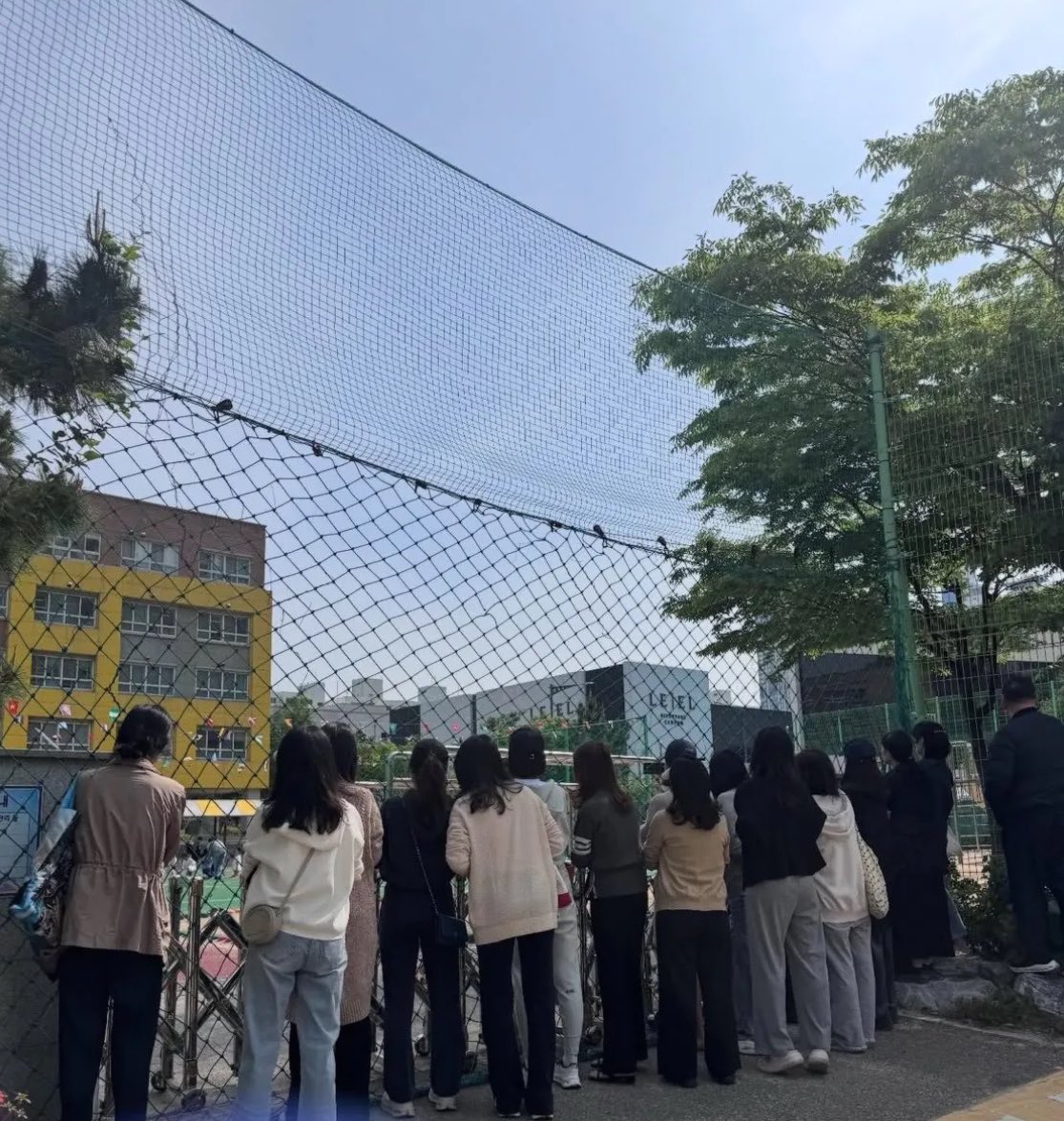 캣츠파파 tweet media
