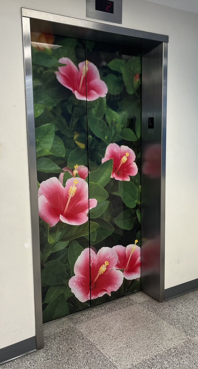 MommyPowers's tweet image. Y'all know I'm a Thrift Shop Queen, so l had to hit up my fave
@SaversVVillage here in Hawaii! To my dismay, I didn't get my Senior Discount! 
Hey Savers, can I get a refund
for my discount?! Help a Senior out, and share that aloha spirit with me. Mahalo!
#oahu #discount #thrift