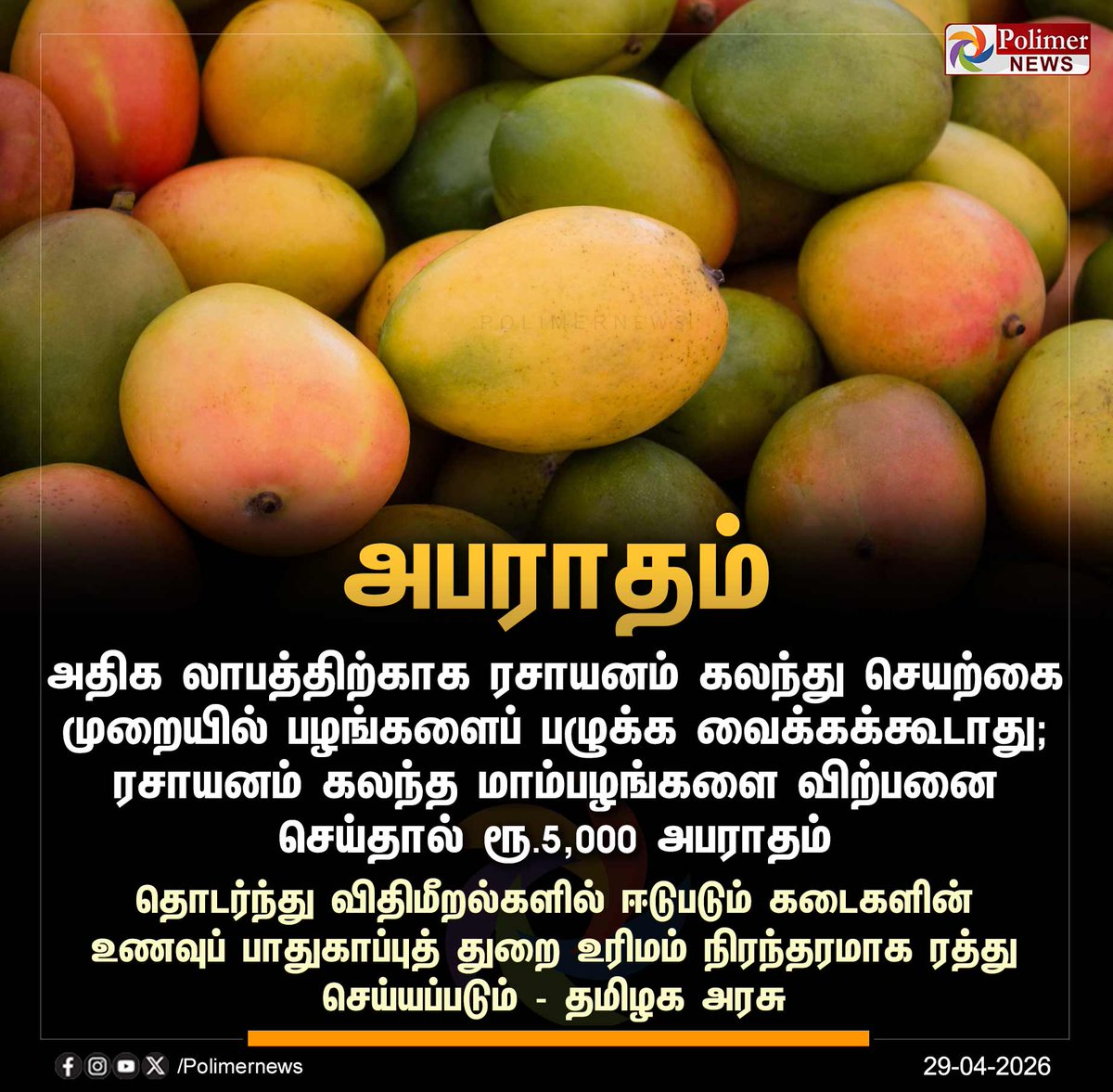 polimernews's tweet image. #JUSTIN || ரசாயனம் மூலம் மாம்பழம் பழுக்க வைத்தால் ரூ.5,000 அபராதம் - தமிழக அரசு | #TNGovt | #Mango | #Summer | #PolimerNews