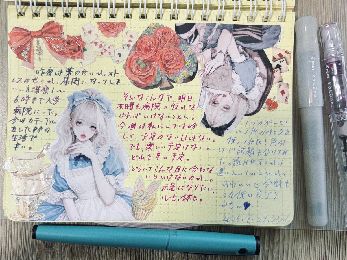 lexoたん🪽 tweet media