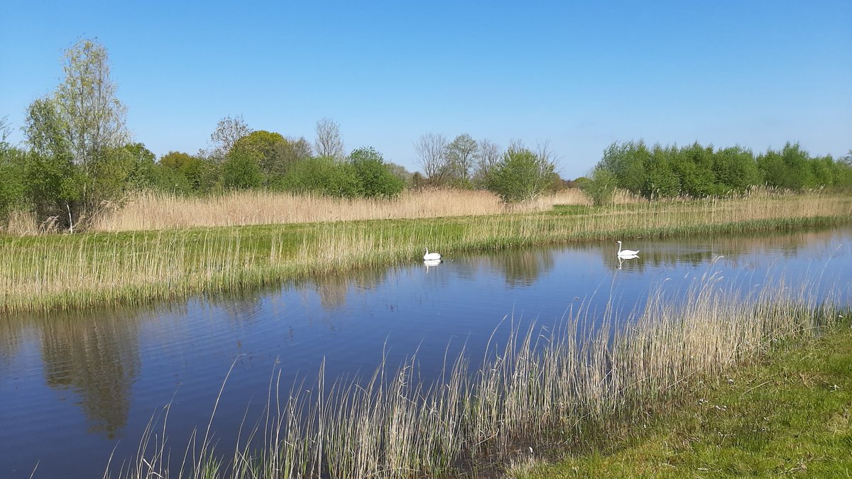 Ga Wandelen tweet media
