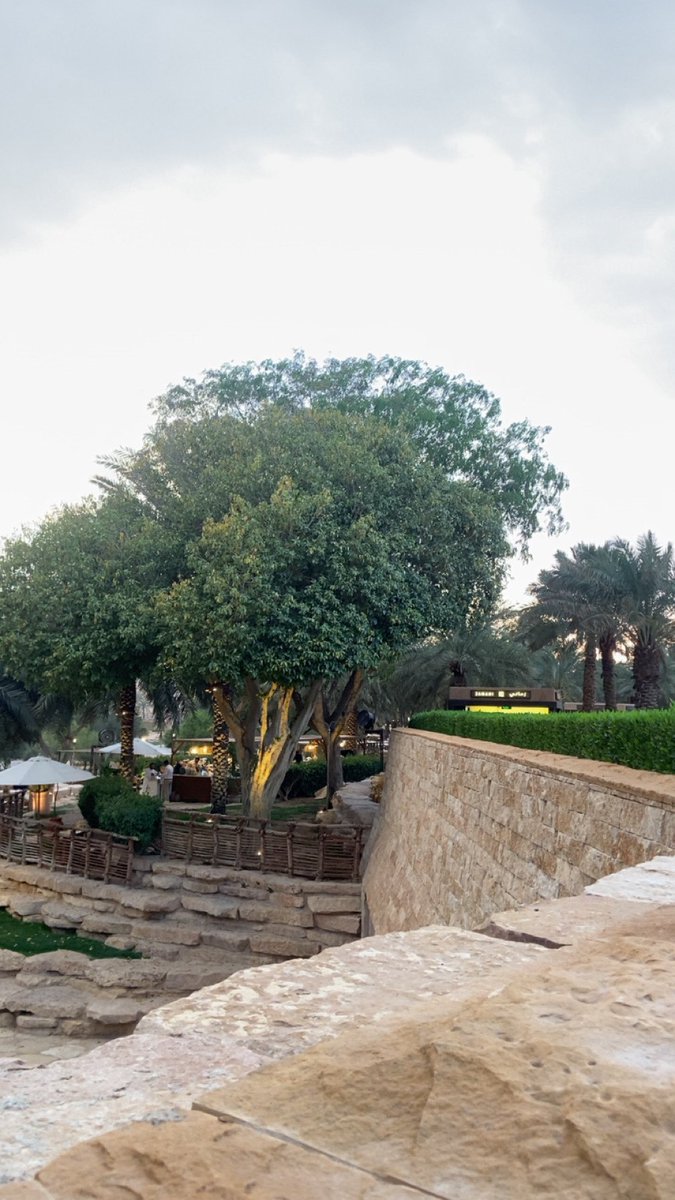 omnorah_2's tweet photo. #البجيري #الدرعيه #السعوديه #الرياض #اكسبلور https://t.co/sw68Jd5h3v