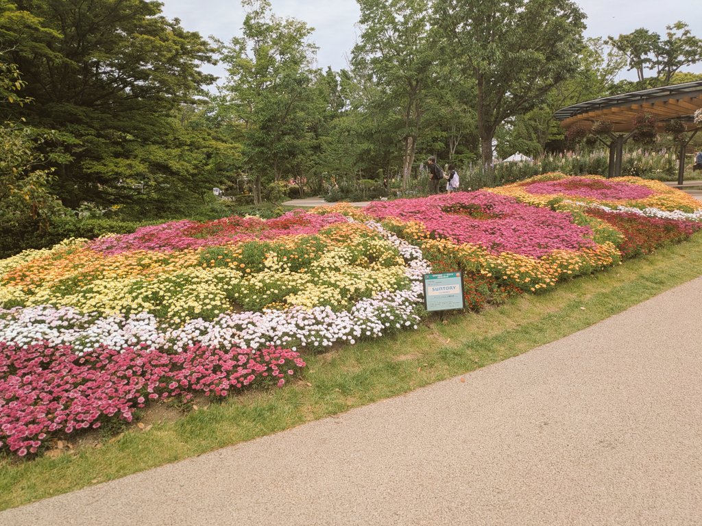 ❄ぺるそな❄次のライブ出現先はプロフ位置 tweet media
