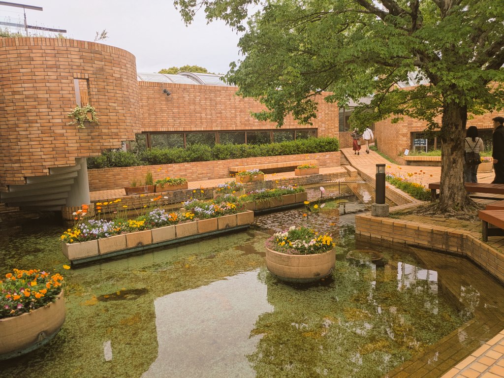 ❄ぺるそな❄次のライブ出現先はプロフ位置 tweet media