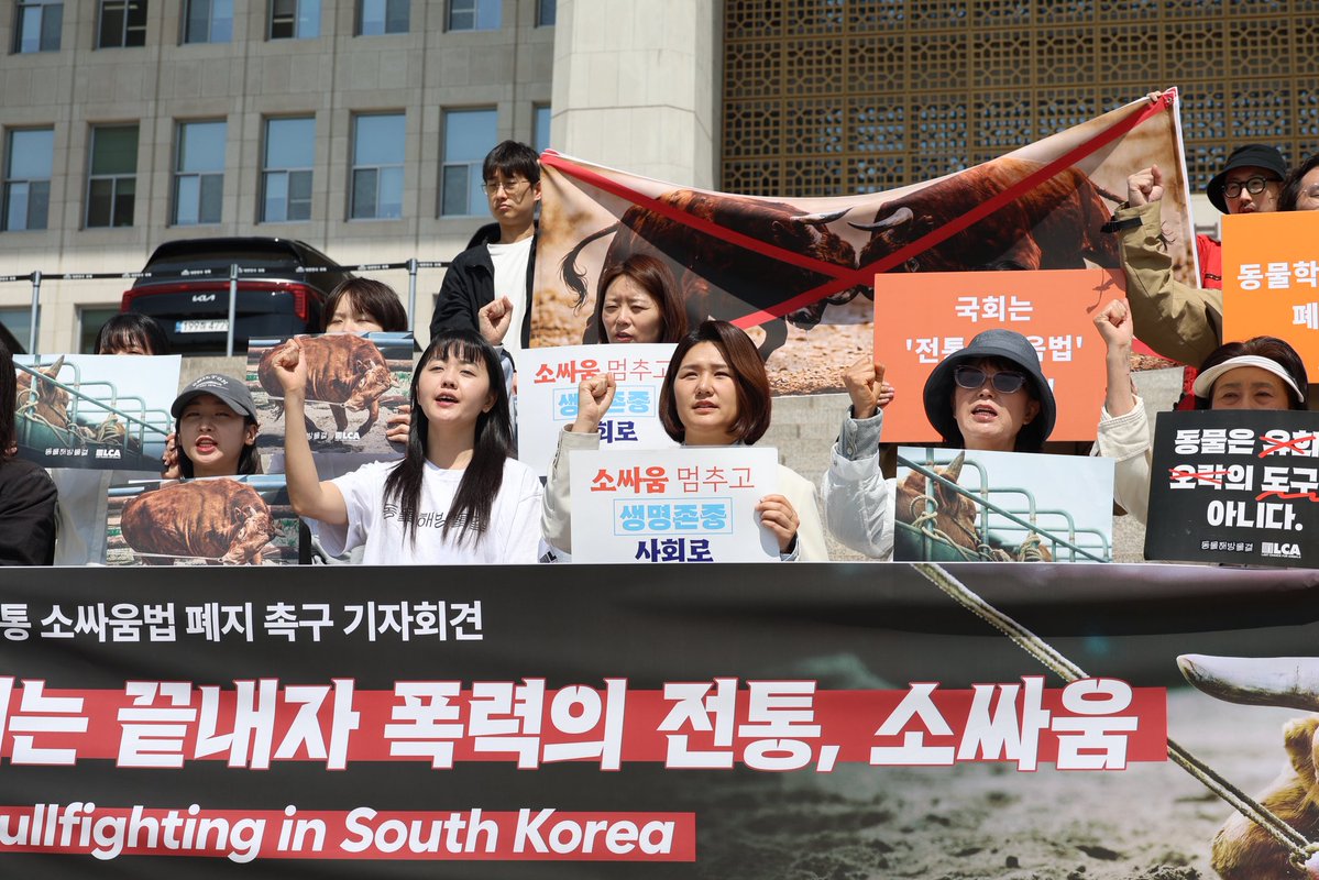 손솔 tweet media