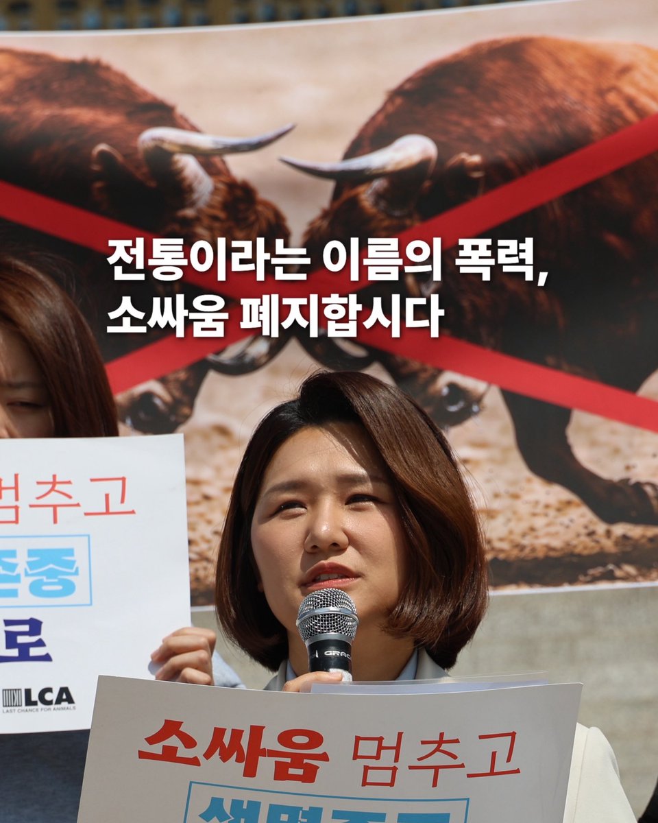 손솔 tweet media