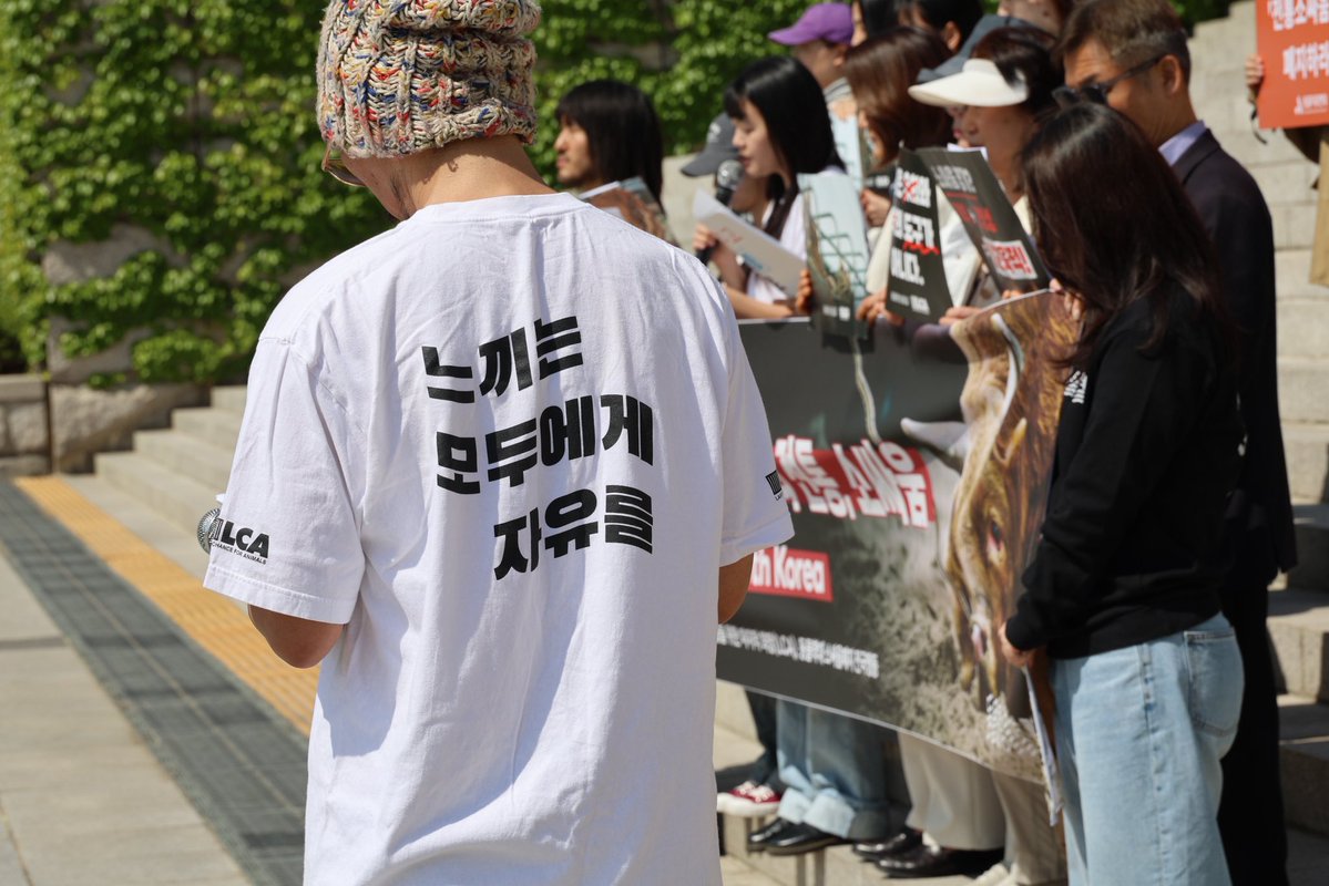 손솔 tweet media