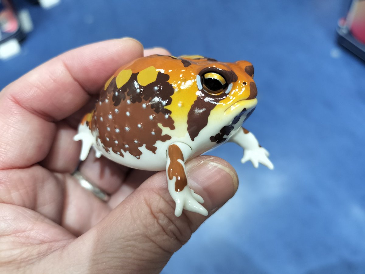 アメフクラガエル
