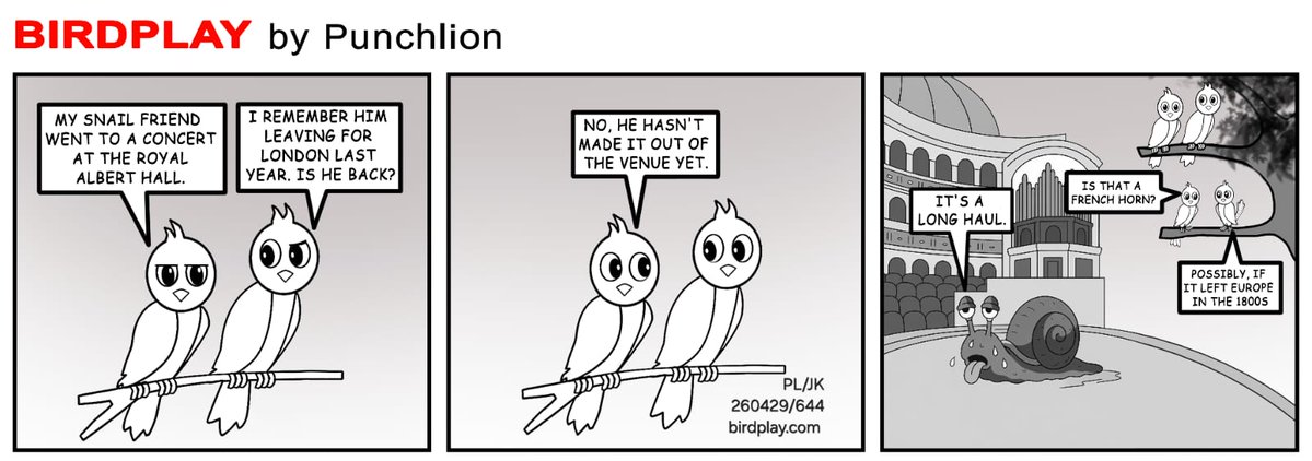 Birdplay tweet media