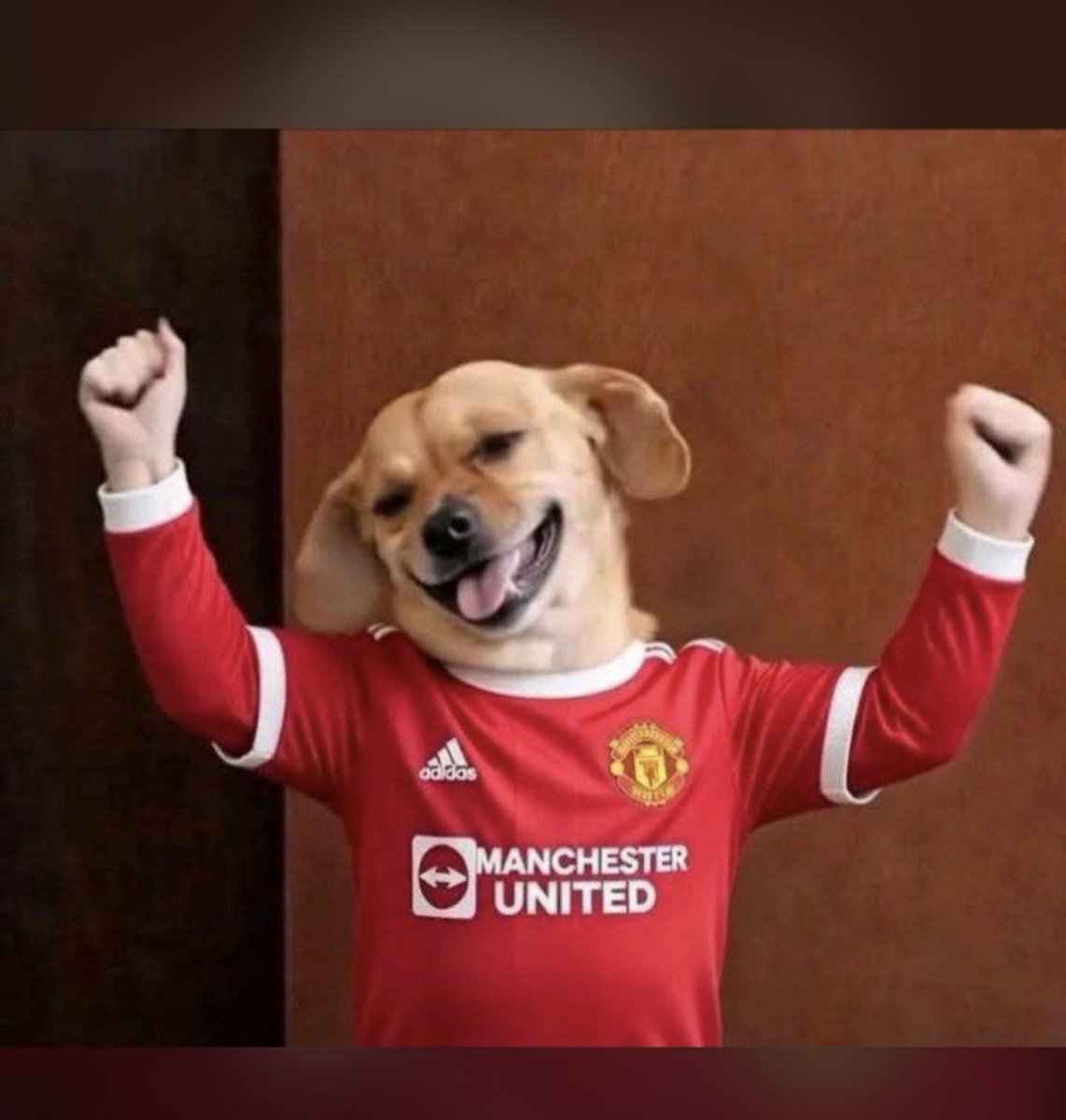 cacaMUFC tweet media