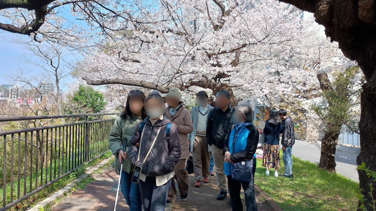 都立日比谷公園(Hibiya Park, Tokyo) 園長の採れたて情報 tweet media