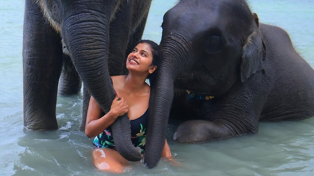 🖤shanthi 🖤 tweet media