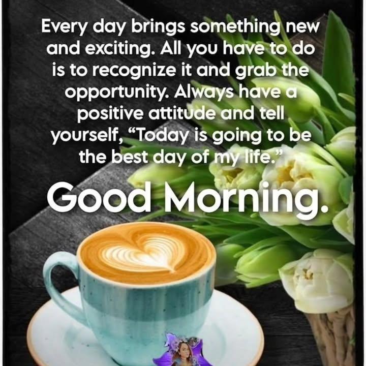 Coolpatsy tweet media