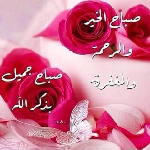 سالم آل صالح tweet media