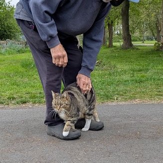 Robert Allotment cat,now helped by Janet & Amanda tweet media