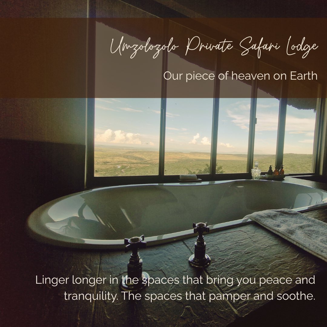 NambitiReserve's tweet photo. At Umzolozolo Safari Lodge, space is an experience — shaped by intimacy, perspective, and place.

Uninterrupted views, unhurried moments, and spaces that feel entirely your own. From birdsong mornings to golden, lantern-lit evenings… this is how you experience the wild. https://t.co/GufTQgfUnl