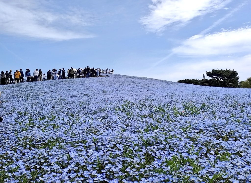 尾瀬名「おぜな」 tweet media