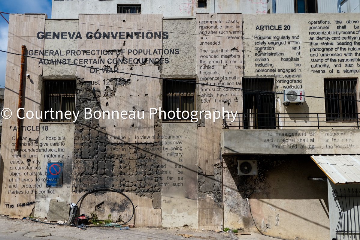 courtneybonneauimages tweet media