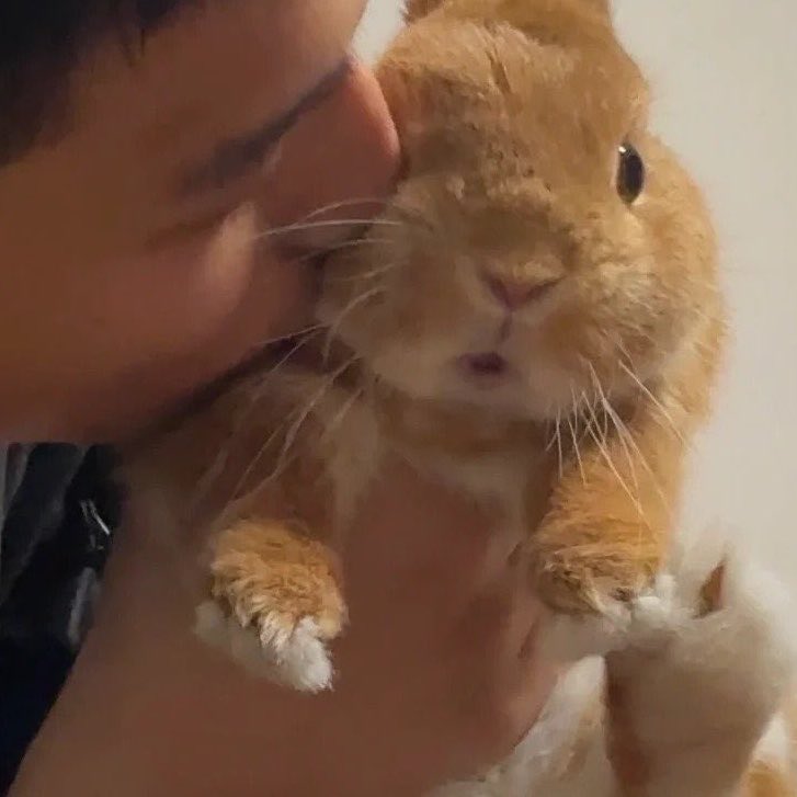 babe Ი⑅𐑼 tweet media