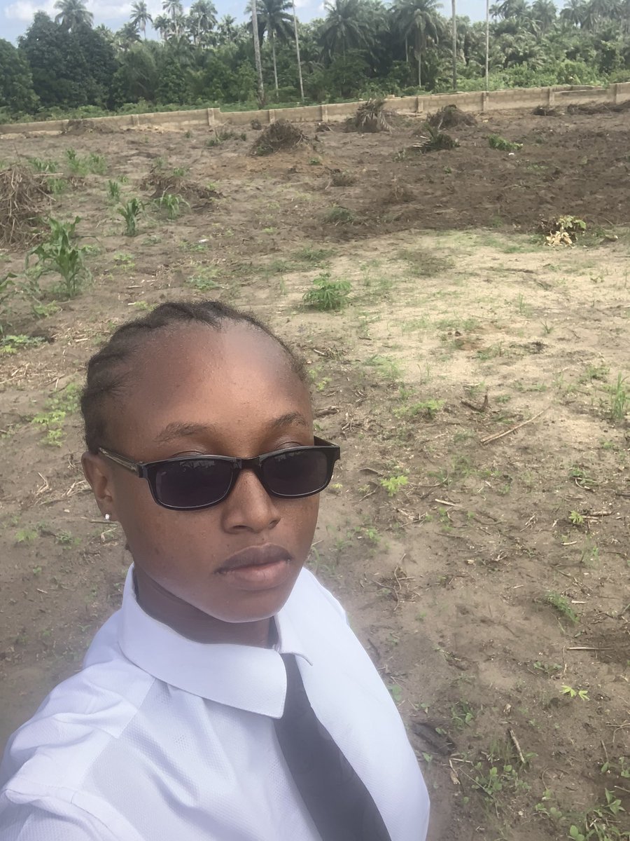 Small But Mighty tweet media