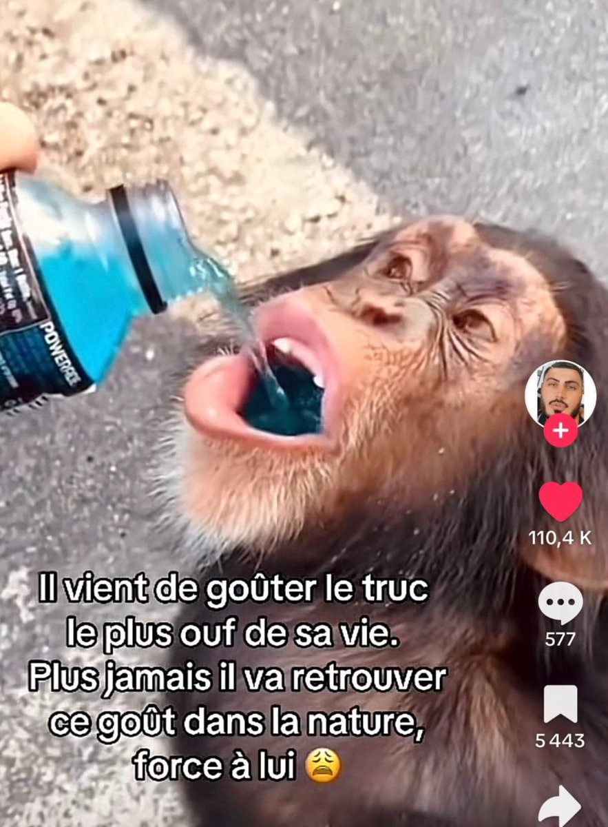 𝙏𝙈𝙁 tweet media