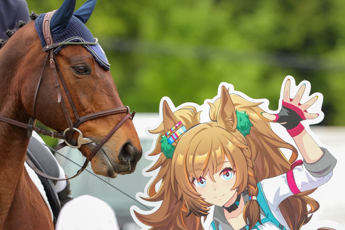 俺ん家゛🍊 tweet media