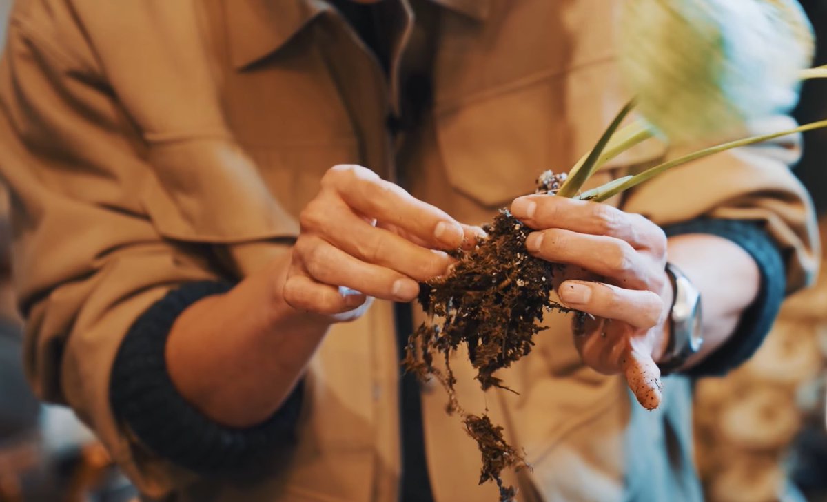 신앙인 tweet media