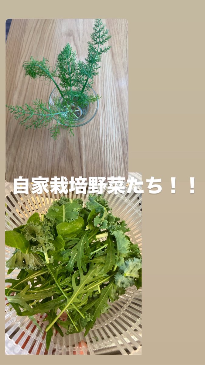 신앙인 tweet media