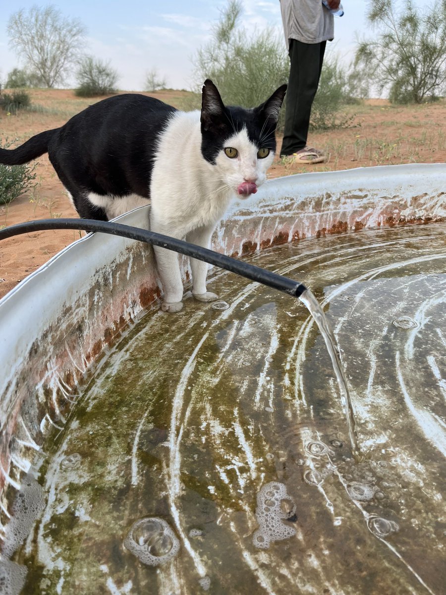 はなもも(hanamomo) tweet media