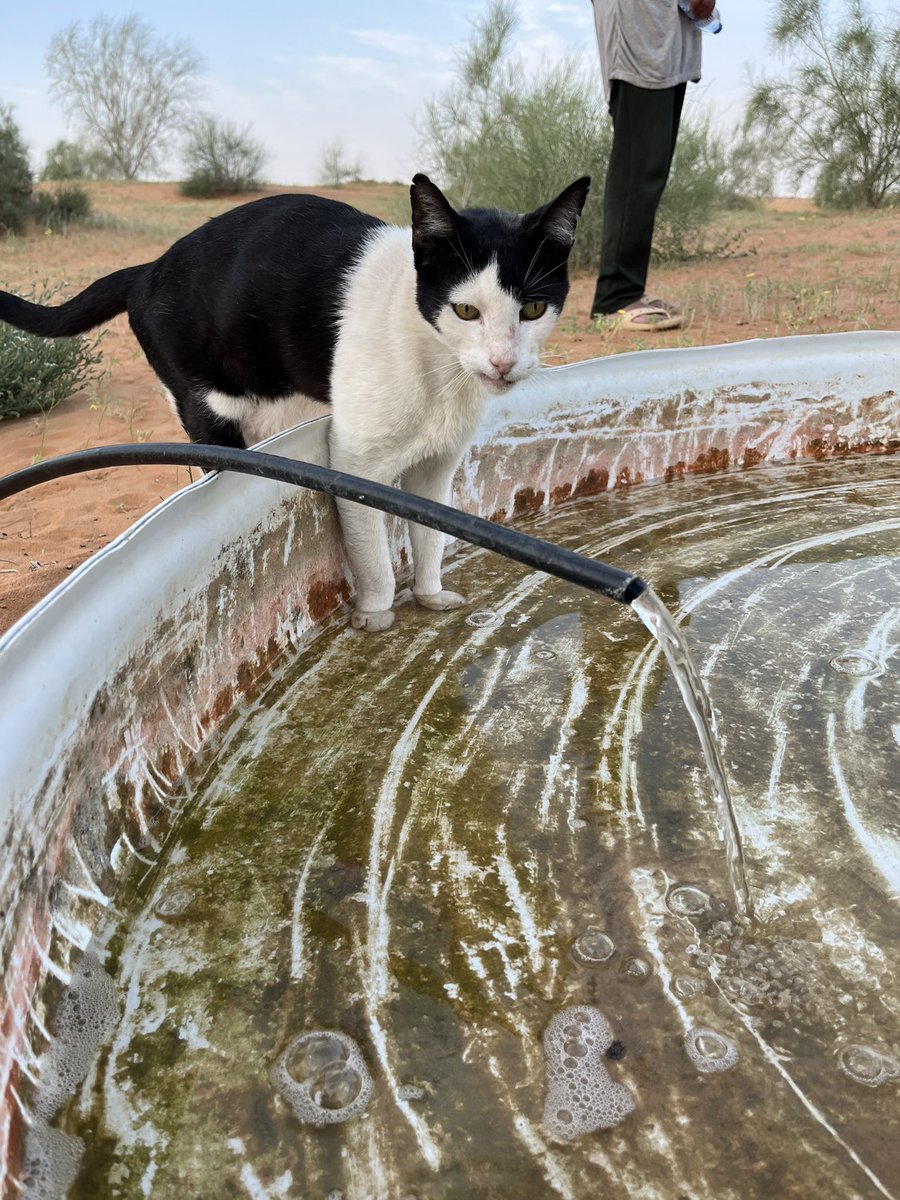 はなもも(hanamomo) tweet media