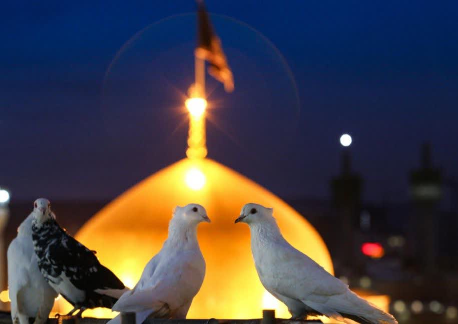 میکاییل موفَنَری tweet media